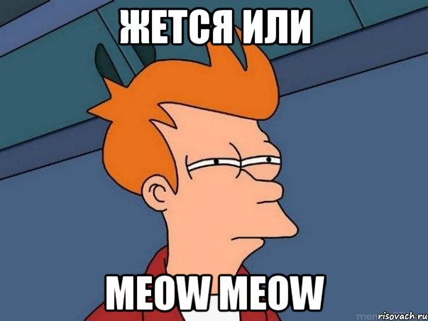 жется или meow meow, Мем  Фрай (мне кажется или)