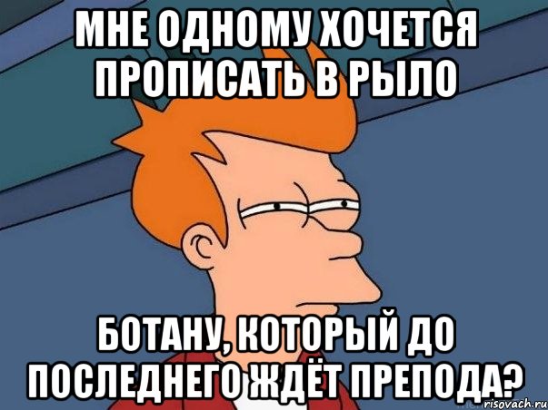 мне одному хочется прописать в рыло ботану, который до последнего ждёт препода?, Мем  Фрай (мне кажется или)