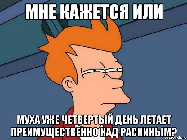 мне кажется или муха уже четвертый день летает преимущественно над раскиным?, Мем  Фрай (мне кажется или)