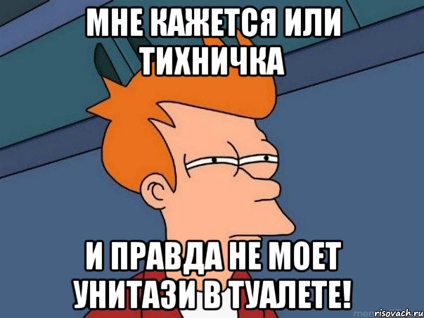 мне кажется или тихничка и правда не моет унитази в туалете!, Мем  Фрай (мне кажется или)