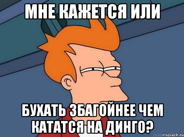 мне кажется или бухать збагойнее чем кататся на динго?, Мем  Фрай (мне кажется или)