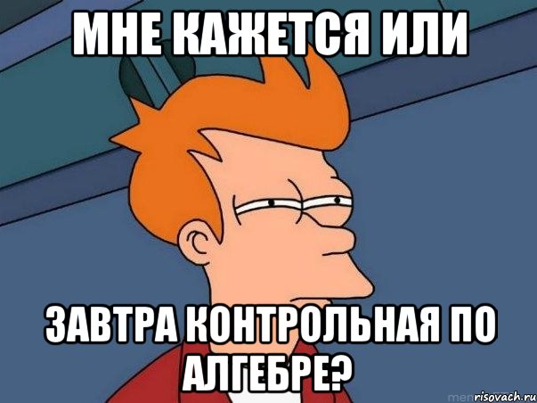 мне кажется или завтра контрольная по алгебре?, Мем  Фрай (мне кажется или)