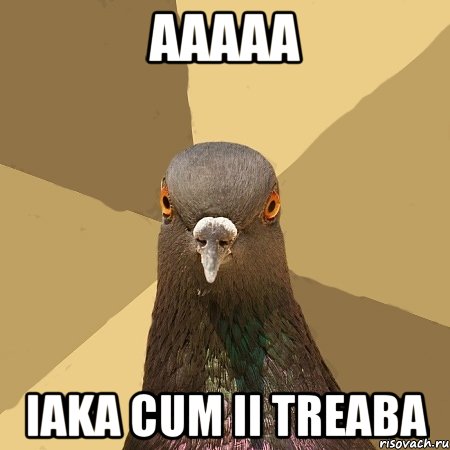 aaaaa iaka cum ii treaba