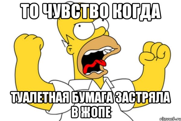 то чувство когда туалетная бумага застряла в жопе, Мем Разъяренный Гомер