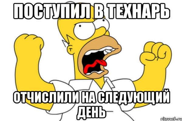 поступил в технарь отчислили на следующий день, Мем Разъяренный Гомер