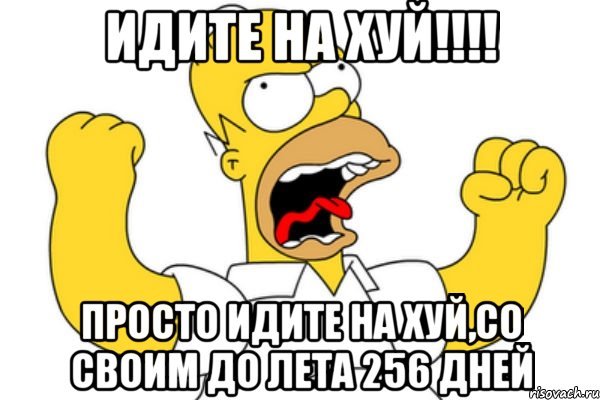 идите на хуй!!! просто идите на хуй,со своим до лета 256 дней, Мем Разъяренный Гомер