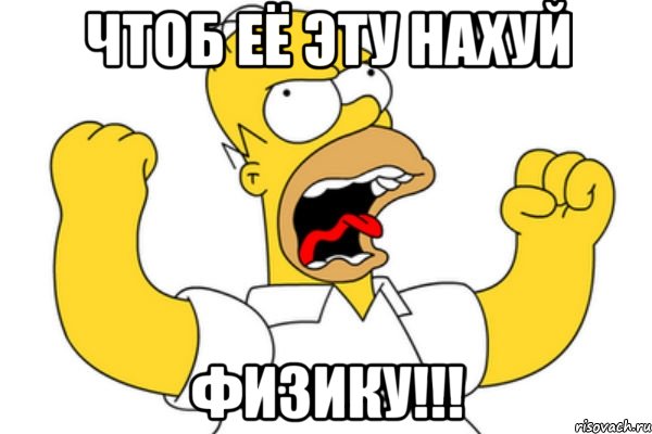 чтоб её эту нахуй физику!!!, Мем Разъяренный Гомер