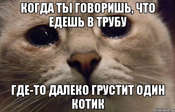 когда ты говоришь, что едешь в трубу где-то далеко грустит один котик, Мем   В мире грустит один котик