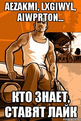 aezakmi, lxgiwyl, aiwprton... кто знает, ставят лайк, Мем GTA