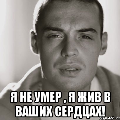  я не умер , я жив в ваших сердцах!, Мем Гуф