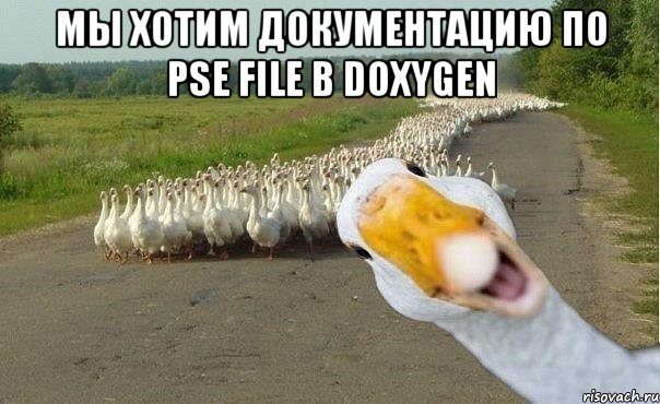 мы хотим документацию по pse file в doxygen , Мем гуси