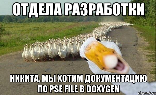 отдела разработки никита, мы хотим документацию по pse file в doxygen, Мем гуси