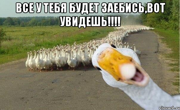 все у тебя будет заебись,вот увидешь!!! , Мем гуси