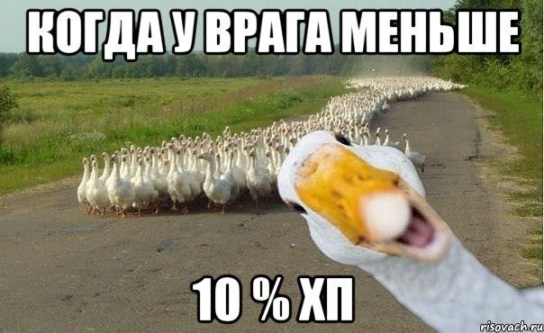 когда у врага меньше 10 % хп, Мем гуси