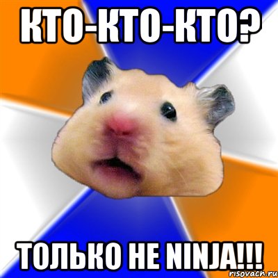 кто-кто-кто? только не ninja!!!, Мем Хомяк