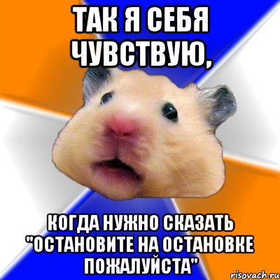 так я себя чувствую, когда нужно сказать "остановите на остановке пожалуйста", Мем Хомяк