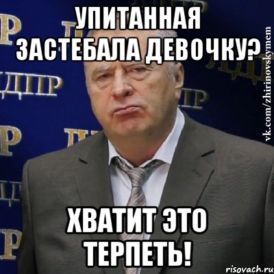 упитанная застебала девочку? хватит это терпеть!, Мем Хватит это терпеть (Жириновский)