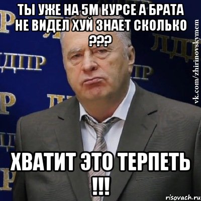 ты уже на 5м курсе а брата не видел хуй знает сколько ??? хватит это терпеть !!!, Мем Хватит это терпеть (Жириновский)