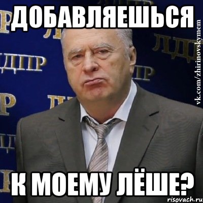 добавляешься к моему лёше?, Мем Хватит это терпеть (Жириновский)