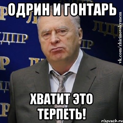 одрин и гонтарь хватит это терпеть!, Мем Хватит это терпеть (Жириновский)