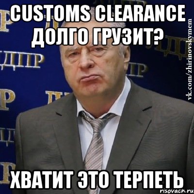 customs clearance долго грузит? хватит это терпеть, Мем Хватит это терпеть (Жириновский)