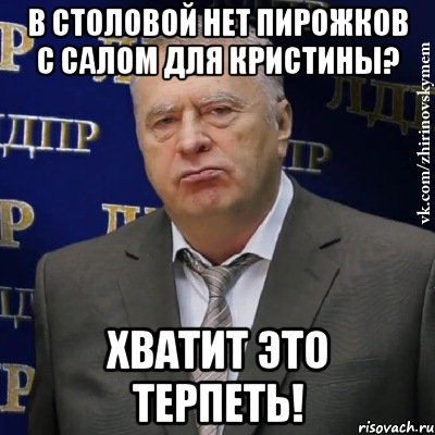 в столовой нет пирожков с салом для кристины? хватит это терпеть!, Мем Хватит это терпеть (Жириновский)