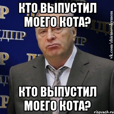 кто выпустил моего кота? кто выпустил моего кота?, Мем Хватит это терпеть (Жириновский)