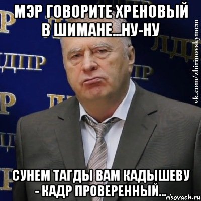 мэр говорите хреновый в шимане...ну-ну сунем тагды вам кадышеву - кадр проверенный..., Мем Хватит это терпеть (Жириновский)