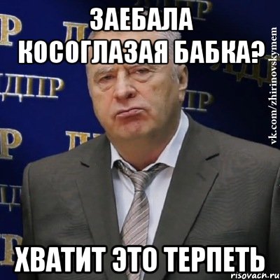 заебала косоглазая бабка? хватит это терпеть, Мем Хватит это терпеть (Жириновский)