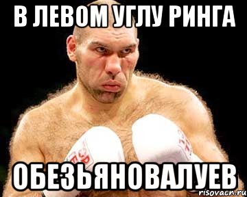 в левом углу ринга обезьяновалуев