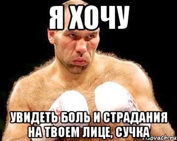 я хочу увидеть боль и страдания на твоем лице, сучка