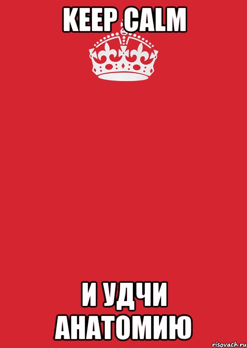 keep calm и удчи анатомию, Комикс Keep Calm 3