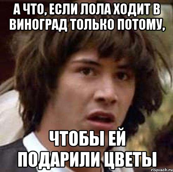 а что, если лола ходит в виноград только потому, чтобы ей подарили цветы, Мем А что если (Киану Ривз)