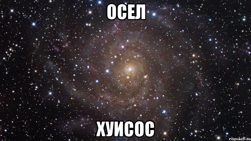 осел хуисос, Мем  Космос (офигенно)