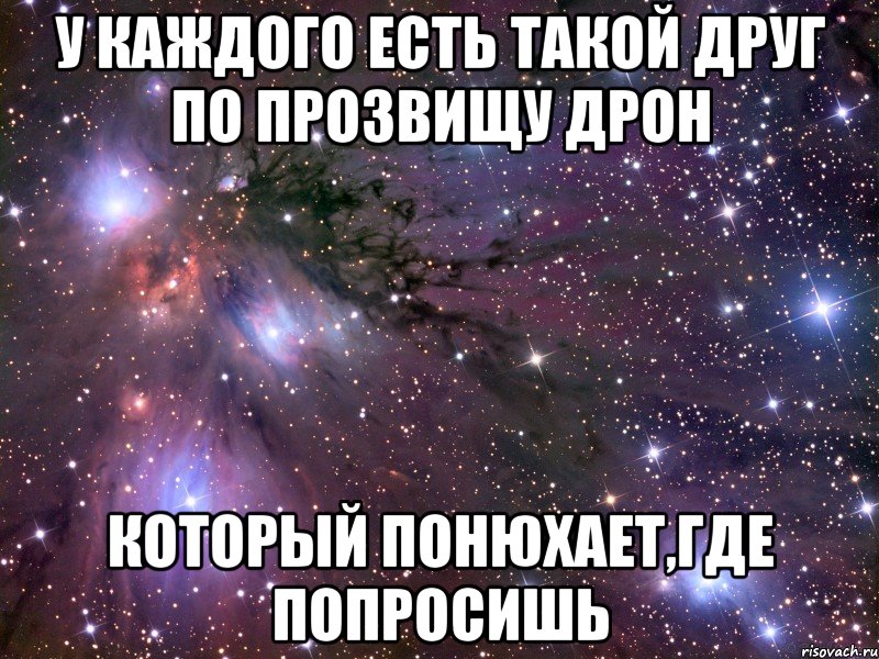 у каждого есть такой друг по прозвищу дрон который понюхает,где попросишь, Мем Космос