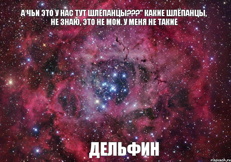 а чьи это у нас тут шлёпанцы???" какие шлёпанцы, не знаю, это не мои. у меня не такие Дельфин