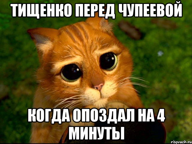 тищенко перед чупеевой когда опоздал на 4 минуты, Мем кот из шрека