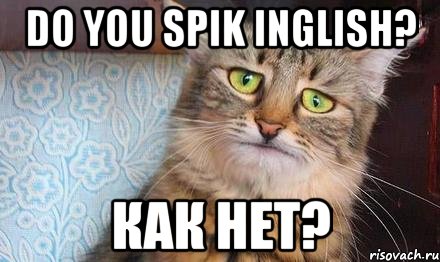do you spik inglish? как нет?, Мем  кот печаль