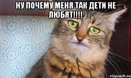 ну почему меня так дети не любят!!! , Мем  кот печаль