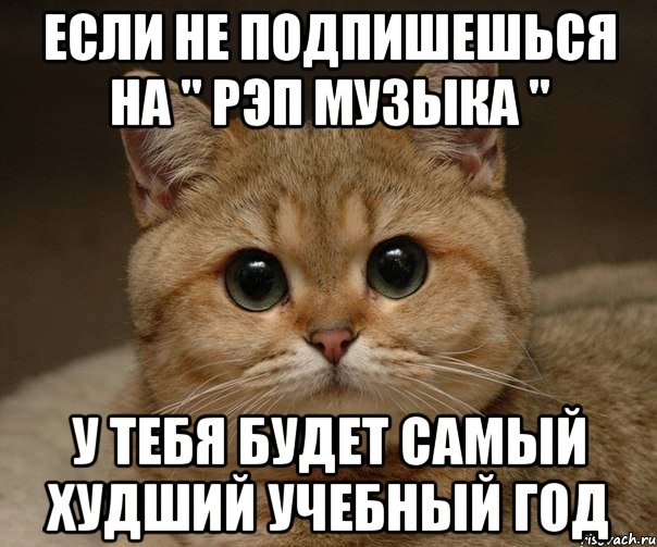 если не подпишешься на " рэп музыка " у тебя будет самый худший учебный год, Мем Пидрила Ебаная