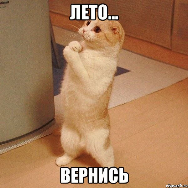 лето... вернись