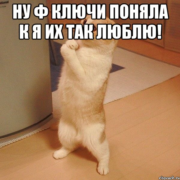 ну ф ключи поняла к я их так люблю! , Мем  котэ молится