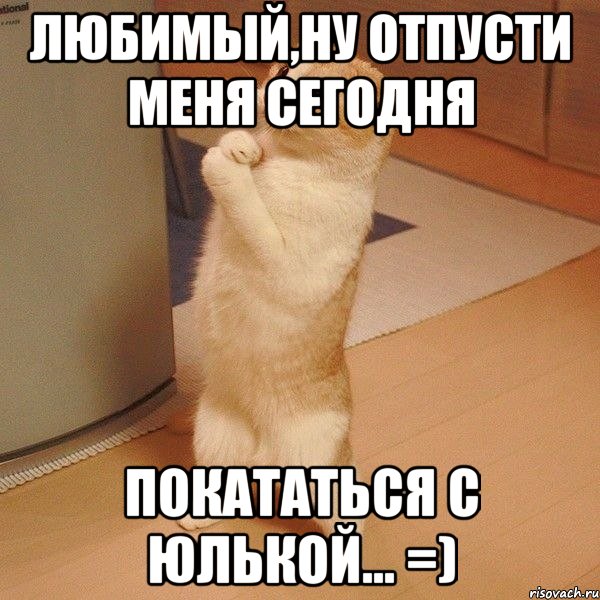 любимый,ну отпусти меня сегодня покататься с юлькой... =), Мем  котэ молится