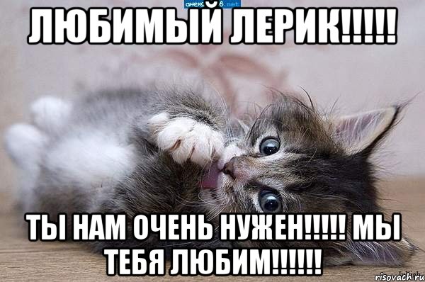 любимый лерик!!! ты нам очень нужен!!! мы тебя любим!!!, Мем  котенок