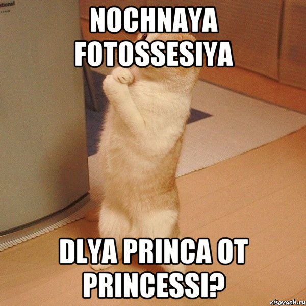 nochnaya fotossesiya dlya princa ot princessi?, Мем  котэ молится