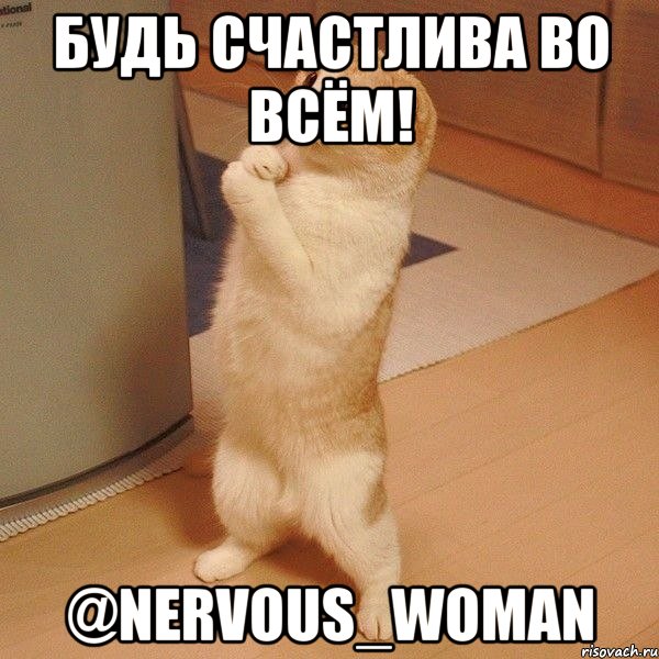 будь счастлива во всём! @nervous_woman, Мем  котэ молится