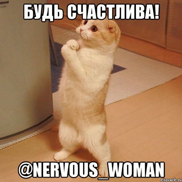 будь счастлива! @nervous_woman, Мем  котэ молится