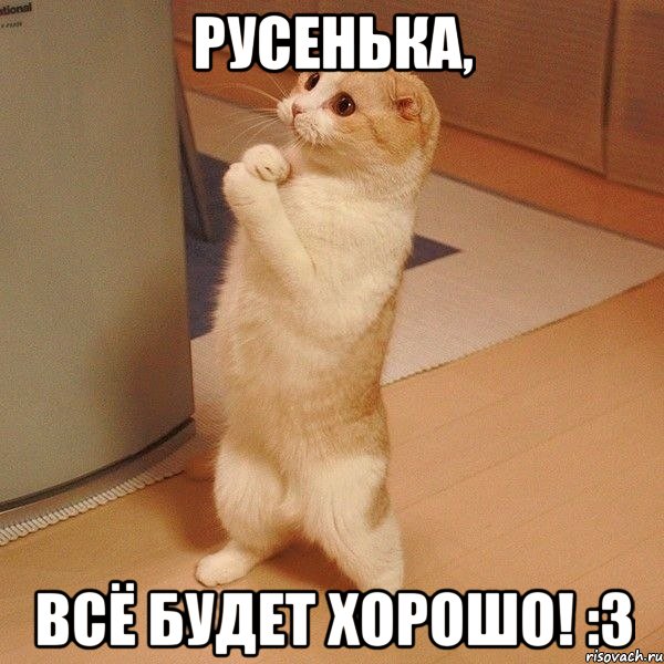 русенька, всё будет хорошо! :3, Мем  котэ молится