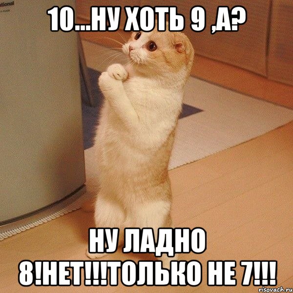 10...ну хоть 9 ,а? ну ладно 8!нет!!!только не 7!!!, Мем  котэ молится