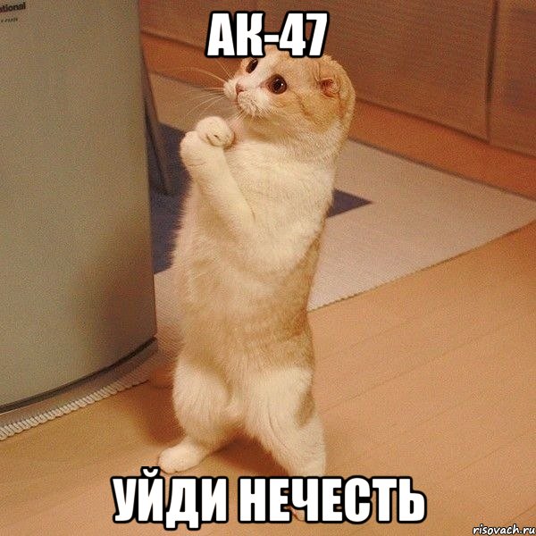 ак-47 уйди нечесть, Мем  котэ молится